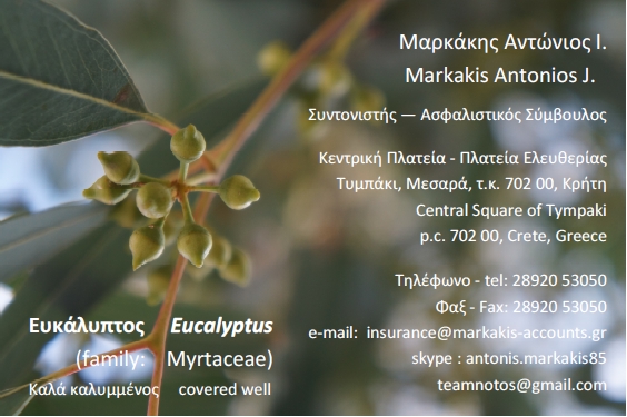 Visit Our Insurance Office Website